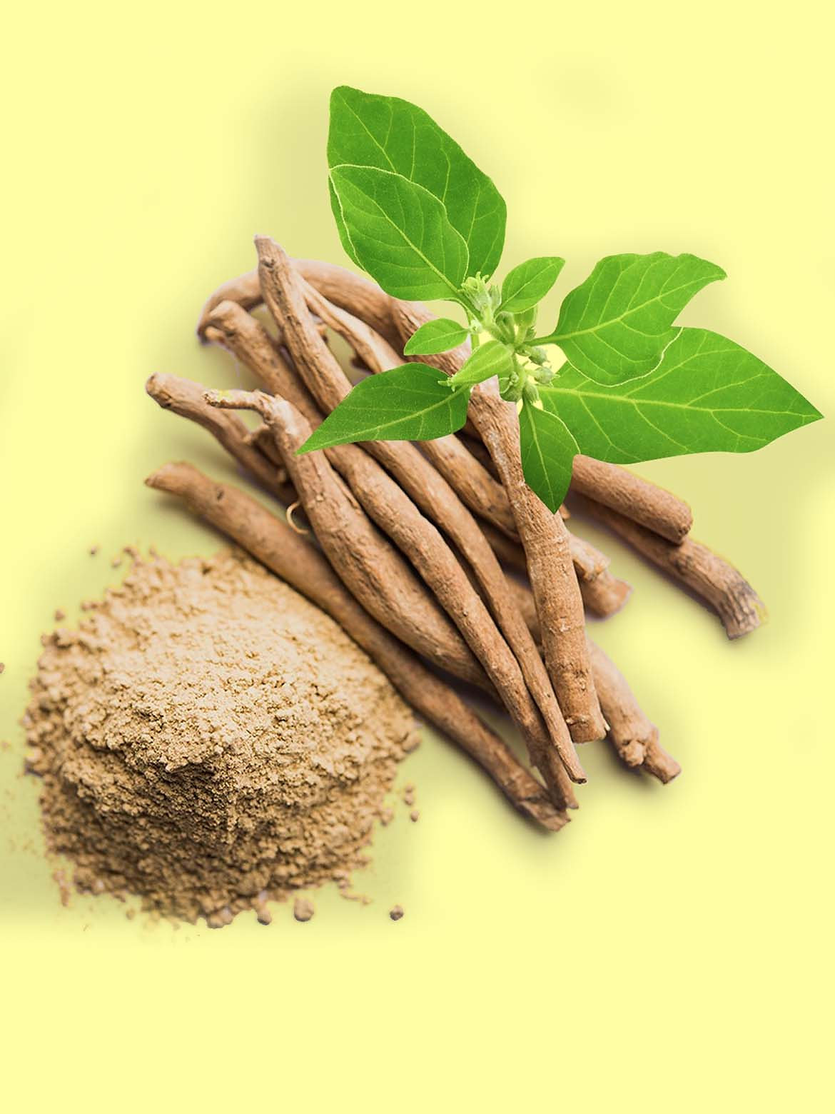 Ashwagandha and ADHD: Benefits for Managing Symptoms