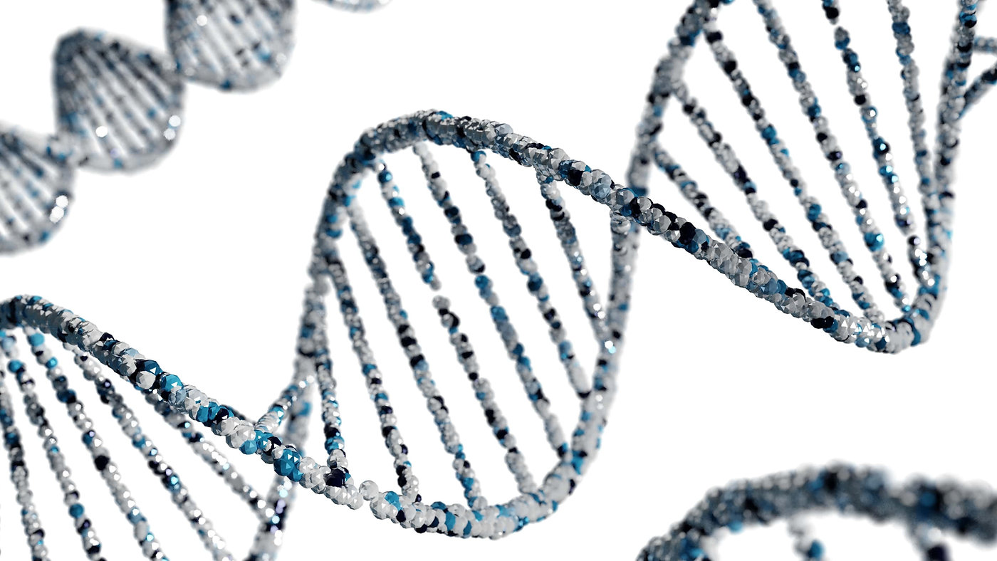 Root Causes of ADHD: Genetics, Environment &amp; More