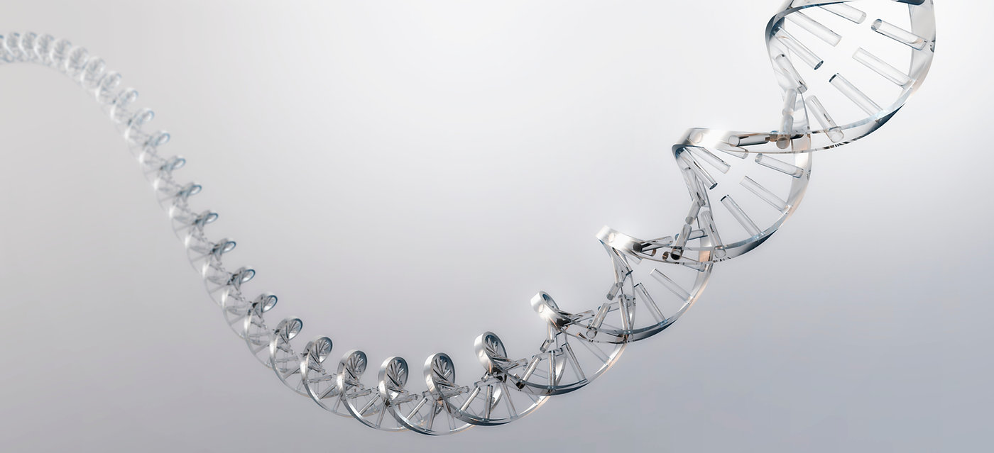 Are You Born with ADHD? Genetic &amp; Environmental Factors