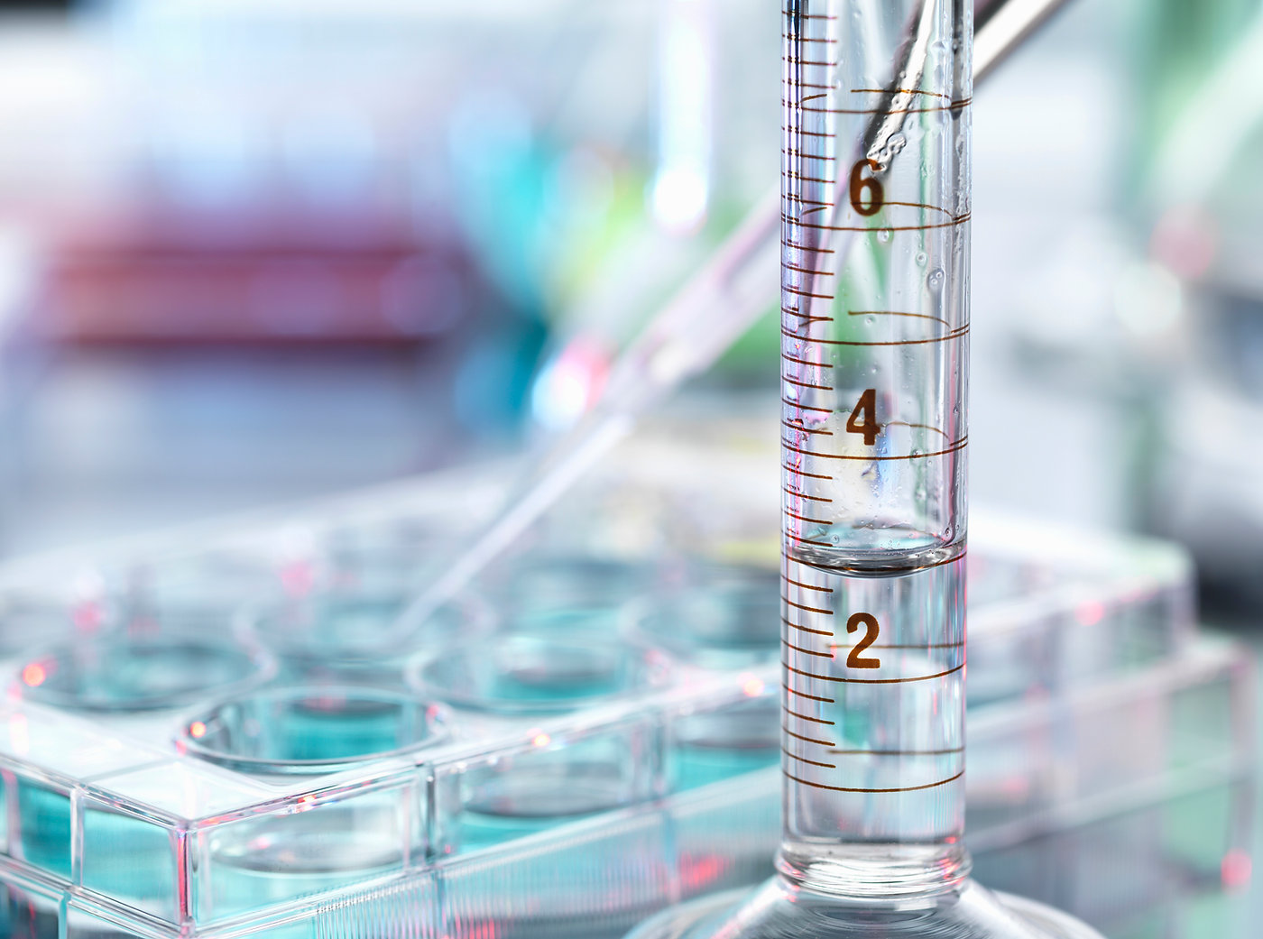 Can Dopamine Levels Be Tested? Options for ADHD