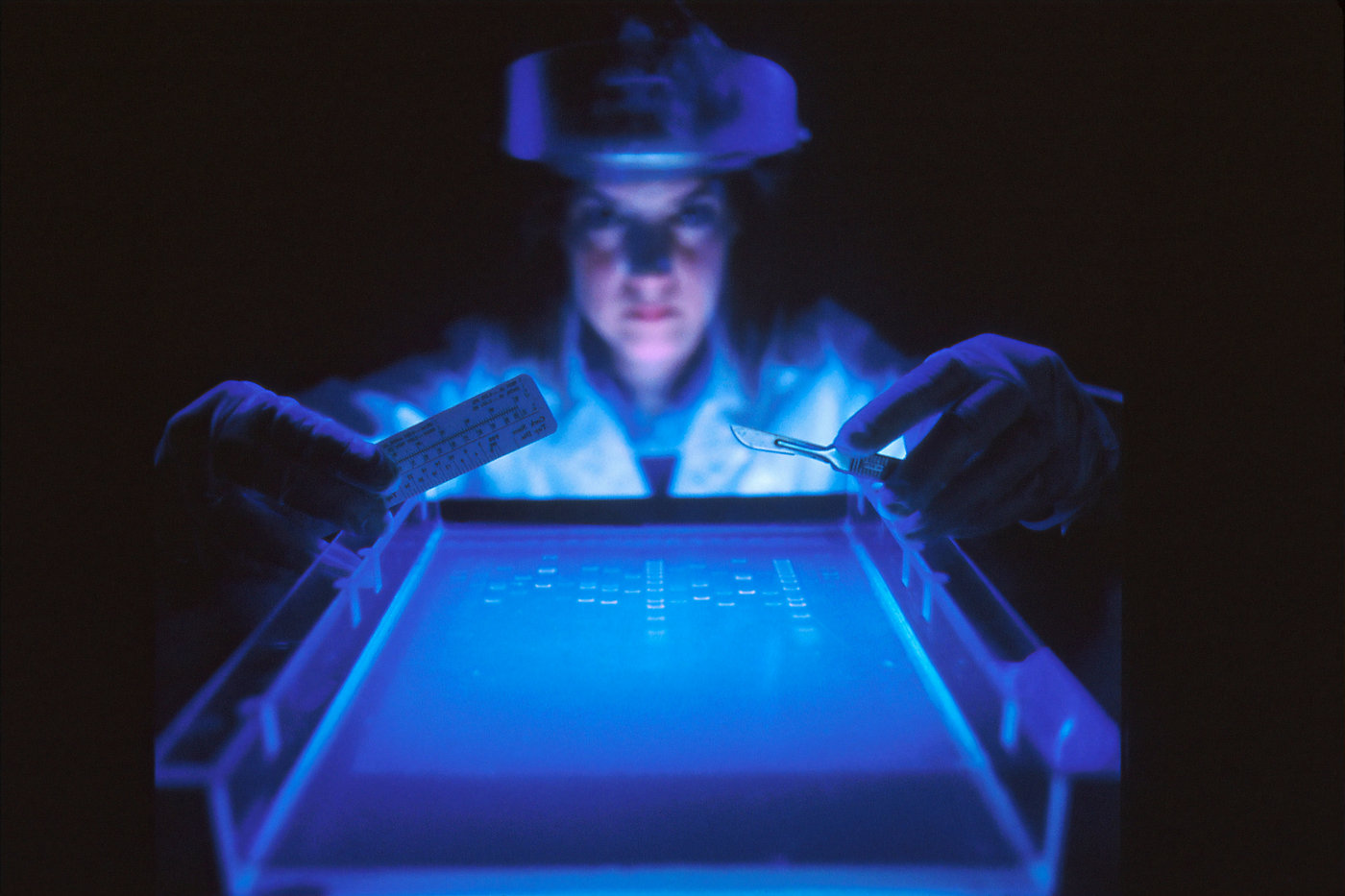Scientist doing an experiment
